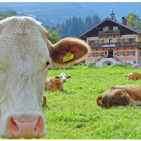 Alpinresort Derbacherhof Niedernsill Dış mekan fotoğraf
