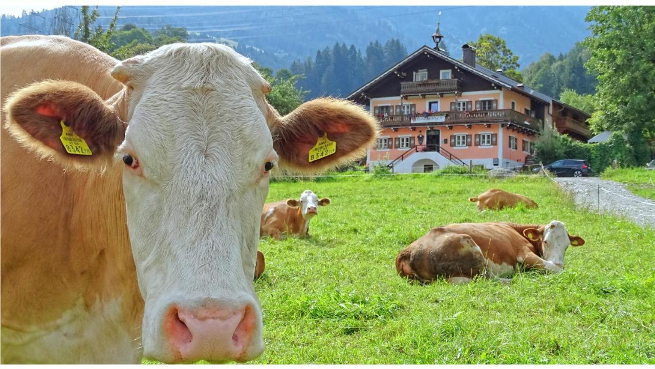 Alpinresort Derbacherhof Niedernsill Dış mekan fotoğraf